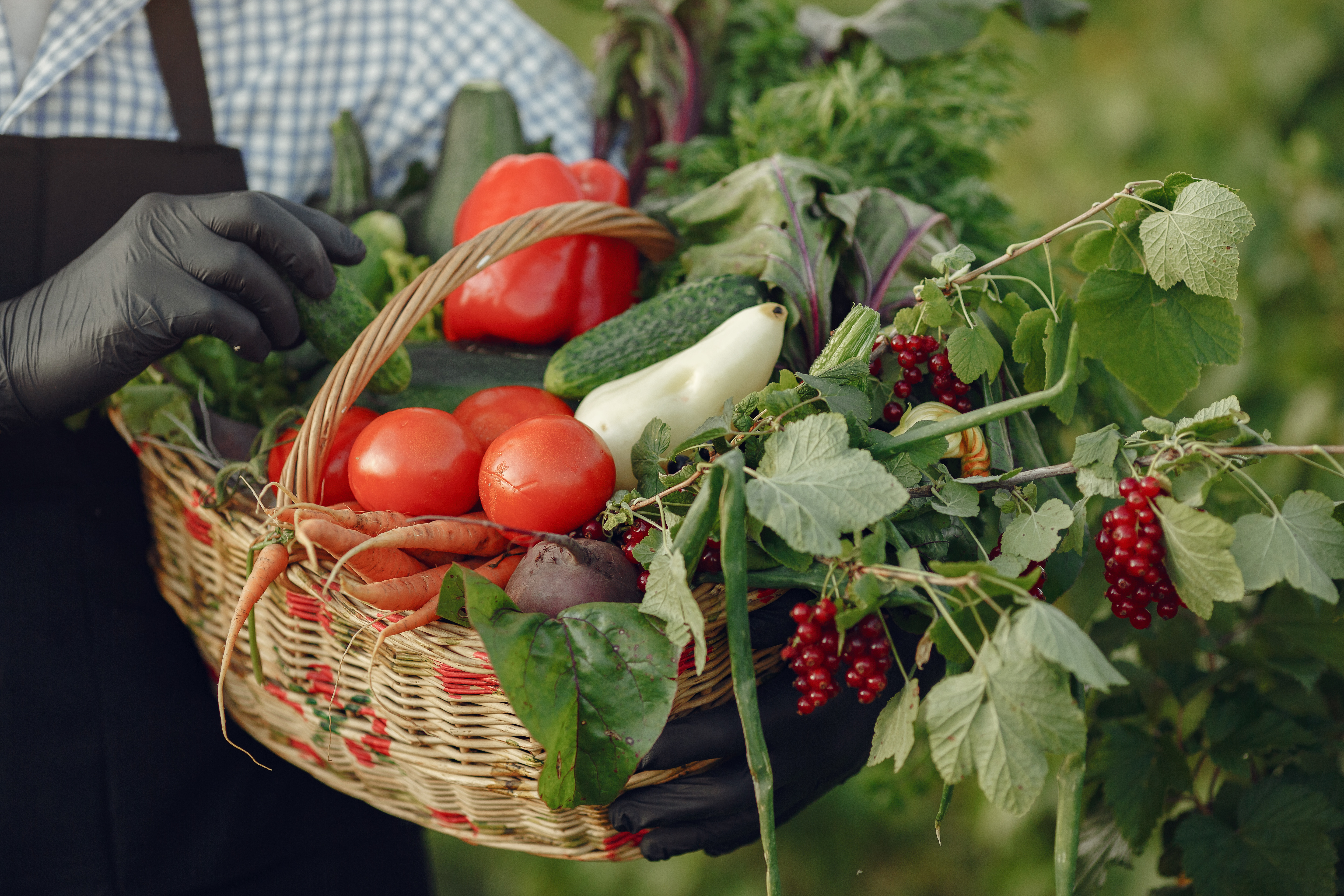 Close-Up of Old Farmer